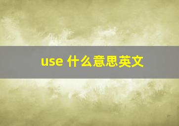 use 什么意思英文